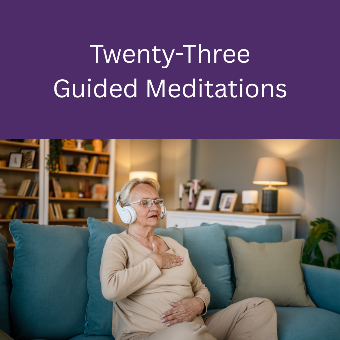 Internal Voyager Meditation Companion: Vol 1 - On Demand