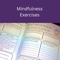 Internal Voyager Meditation Companion: Vol 1 - On Demand