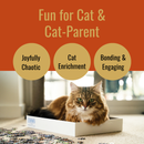 Plenty of fun for both cat and cat-parent