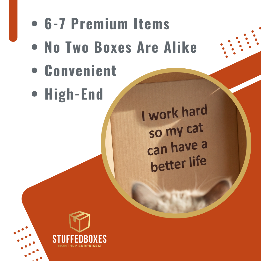 Wooden box with 'I work hard so my cat can have a better life' text, branded as StuffedBoxes on an orange and white background.