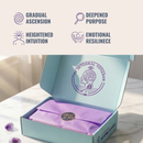 Open box with purple satin interior and 'The Internal Voyager' branding on a light surface.