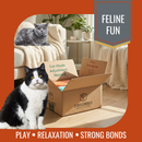 Two cats interacting with a cardboard box labeled 'StuffedBoxes' on a wooden floor, with an orange border and 'Feline Fun' text.