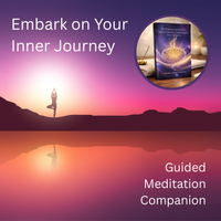 Internal Voyager Meditation Companion: Vol 1 - On Demand