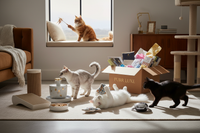 Cats Enjoying Premium Items