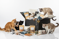 Premium Multi-Cat Box Overflow