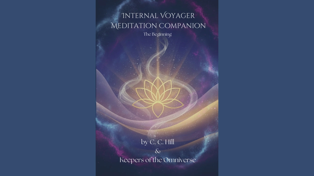 The Internal Voyager ~ Dual Voyager Edition