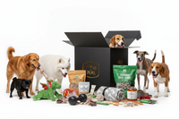 Whole Dang Pack Box with Multiple Dogs